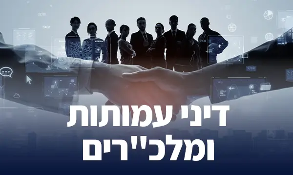 דיני עמותות ומלכ"רים